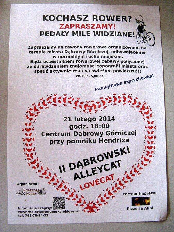 Plakat Alleycata