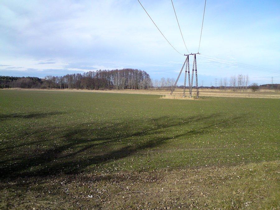 Karłowice - Stobrawa, tuż przed wjazdem do lasu