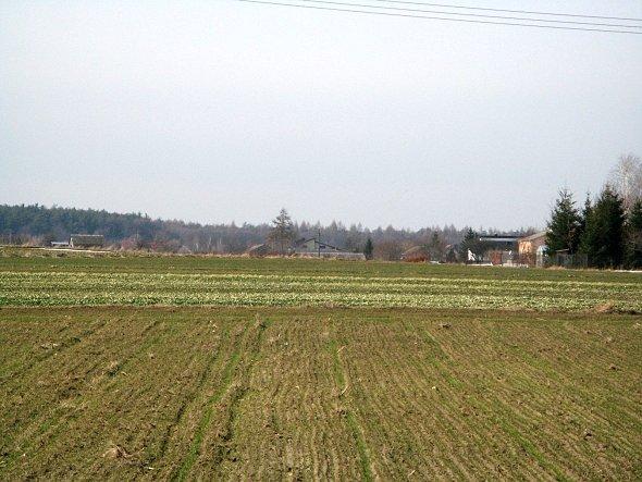 Pola w okolicy Osmolic