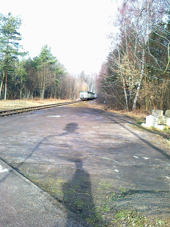 Pojechał w siną dal