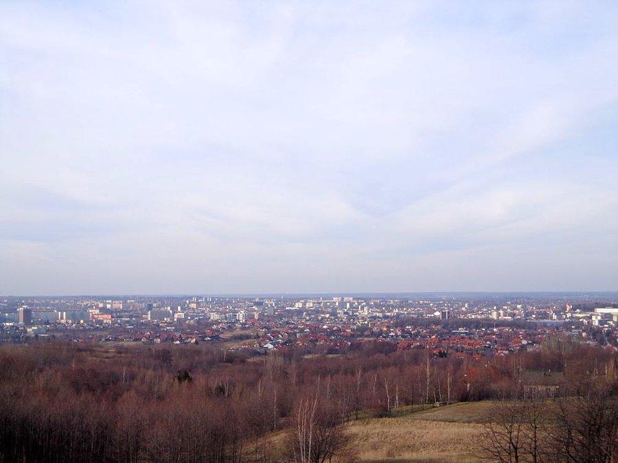 Rzut oka na miasto