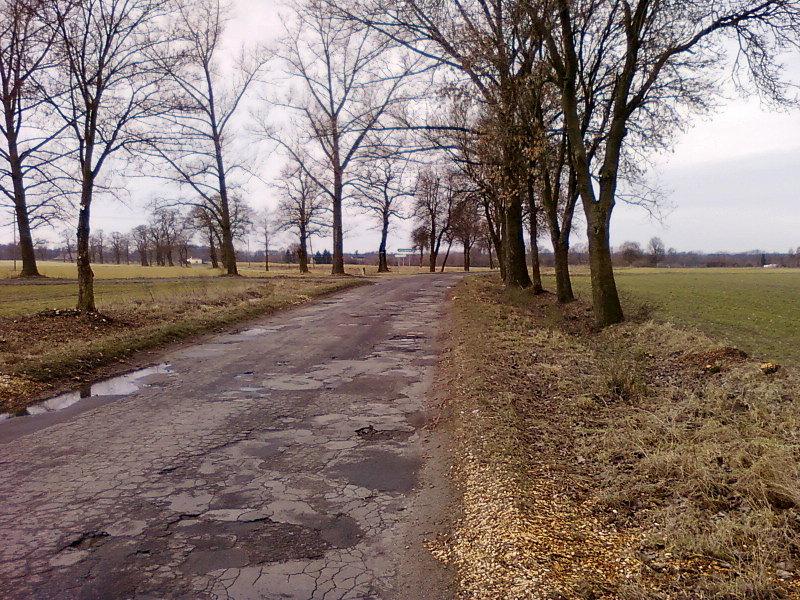 Droga Lutomiersk - Wodzierady