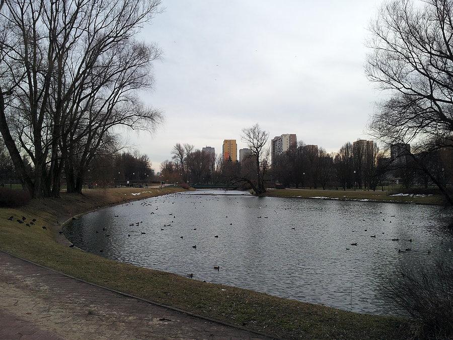 Kępa Potocka