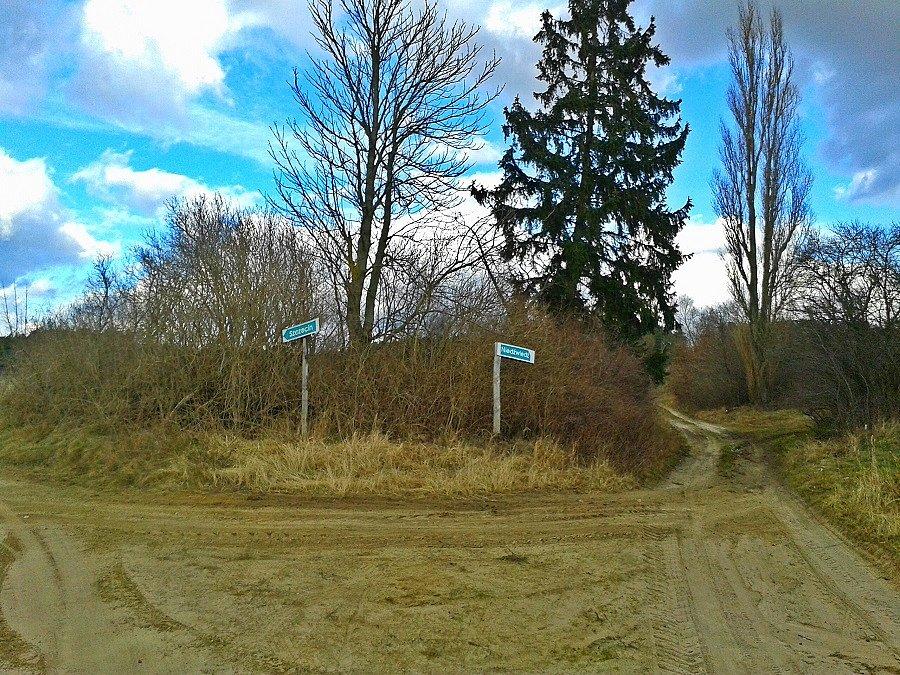 Rekowo - krzyżówka