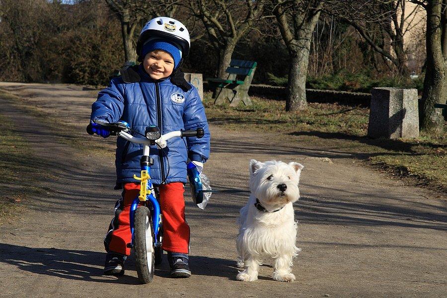 Mały rowerzysta i pies