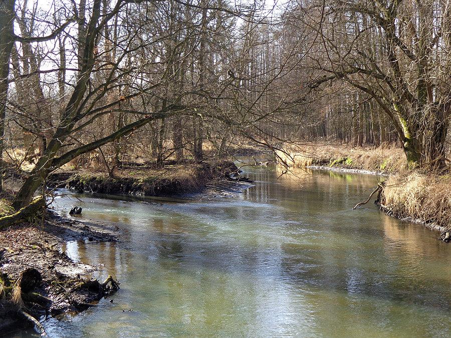 Bystrzyca w Samotworze