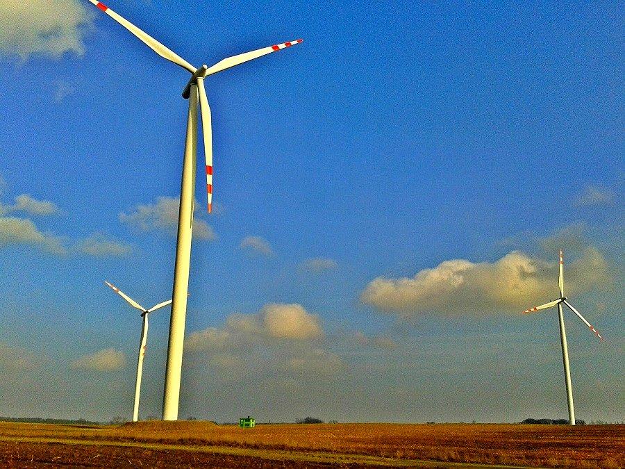 Ferma wiatrowa