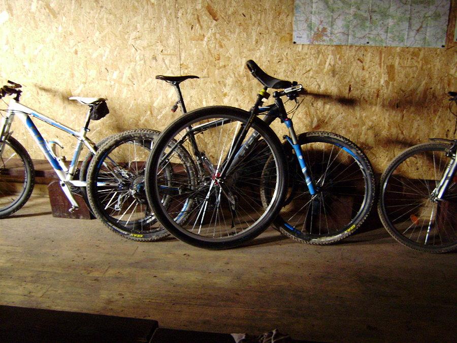 Słonik zawstydza tłentinajnera ;p - te "BMX-y" w tle mają (od lewej do prawej): 26, 29 i 28". ;p