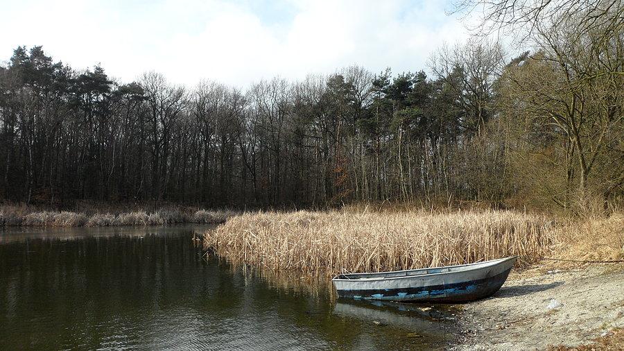 Staw przy Mosaczu 21.02.2014