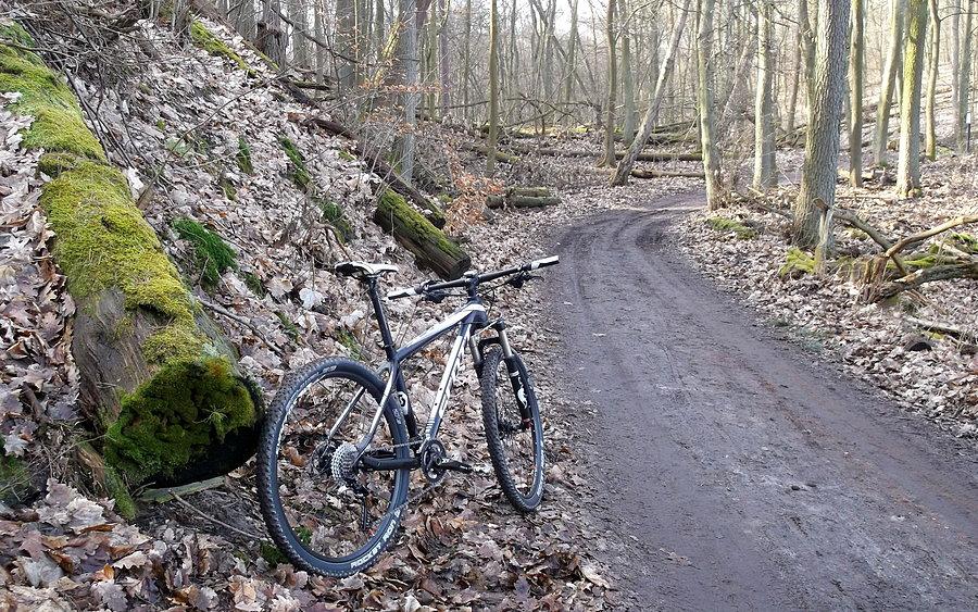 Scott w naturalnym środowisku WPN