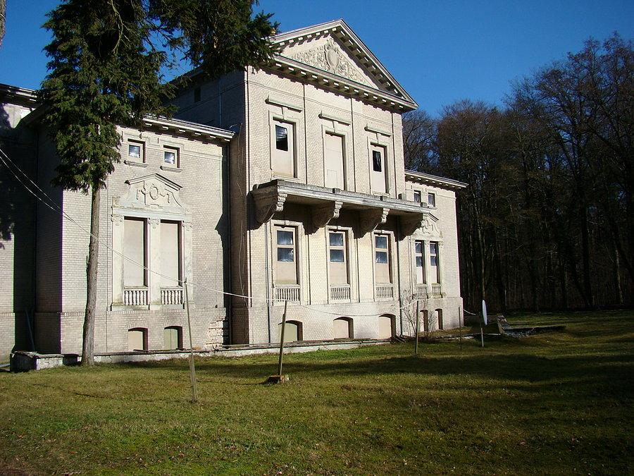 Widok na pałacyk