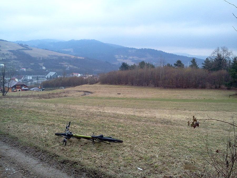 Saniec Klin (w chaszczach)