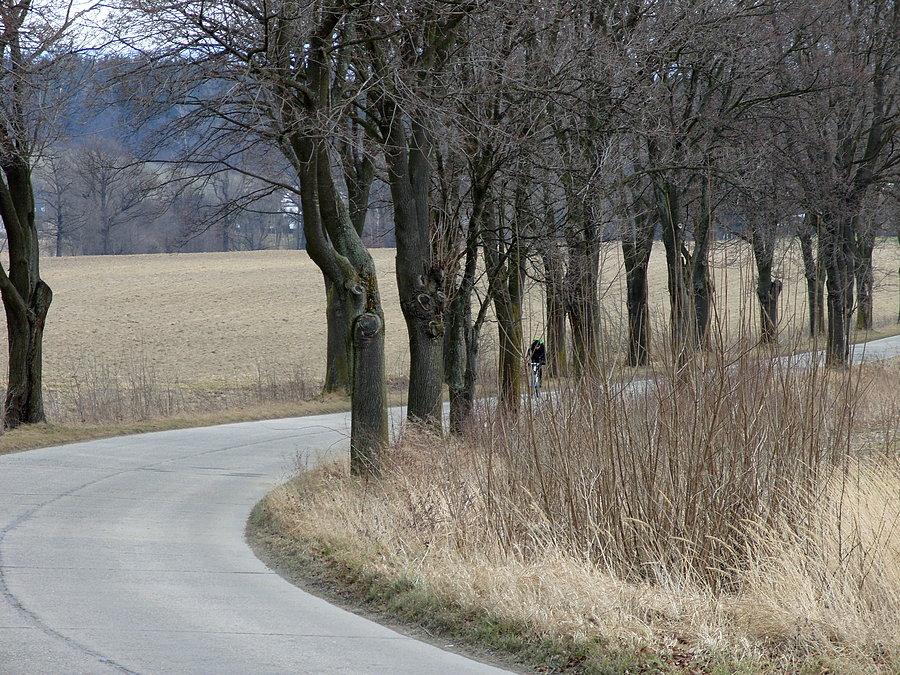 Przejazd Krosnowice, Stara Bystrzyca Ryjek ciśnie pod wiatr ;)