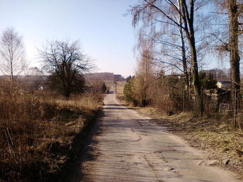 Ul. Żółwiowa