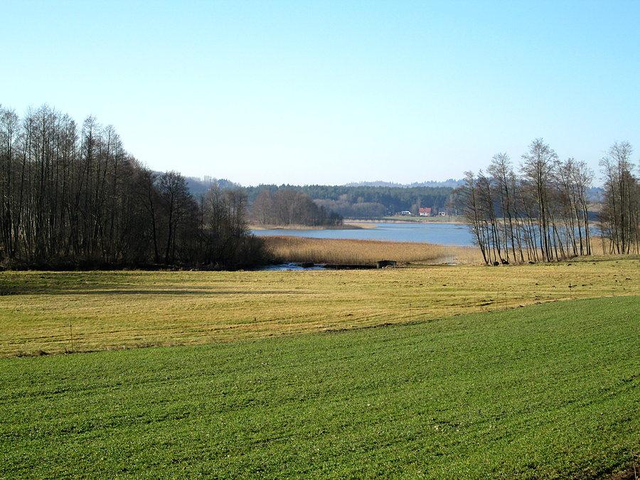 Widok na Jezioro Trzebno