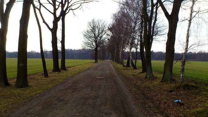 Polna droge