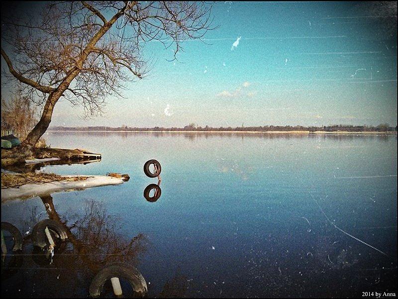 Narew