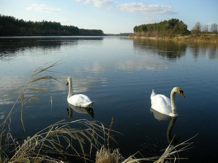 Nad wodą