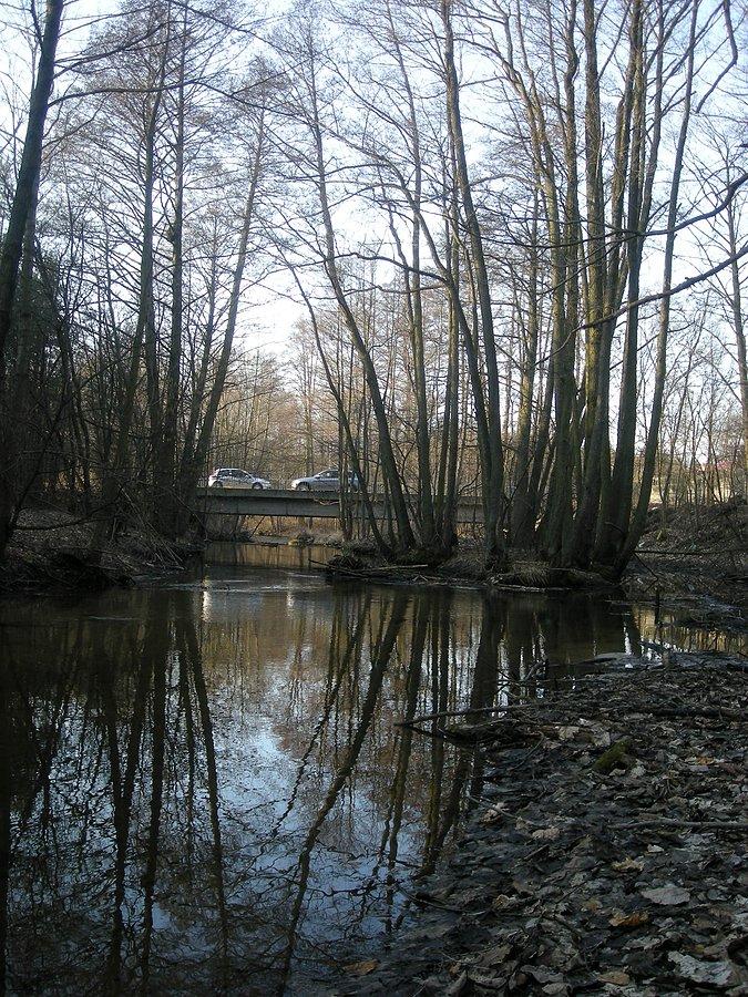 Spotkanie na moście