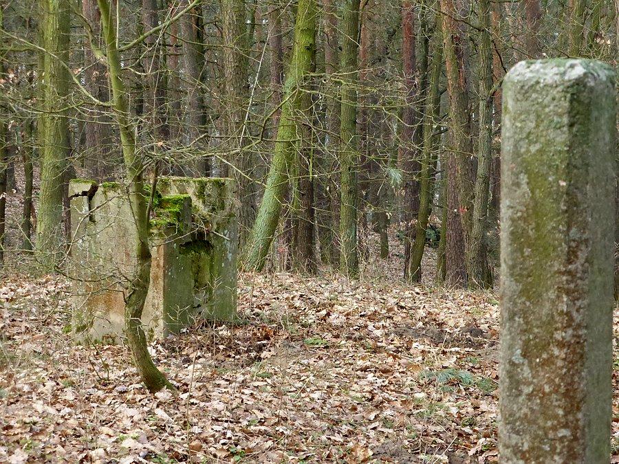 Ruiny wieży