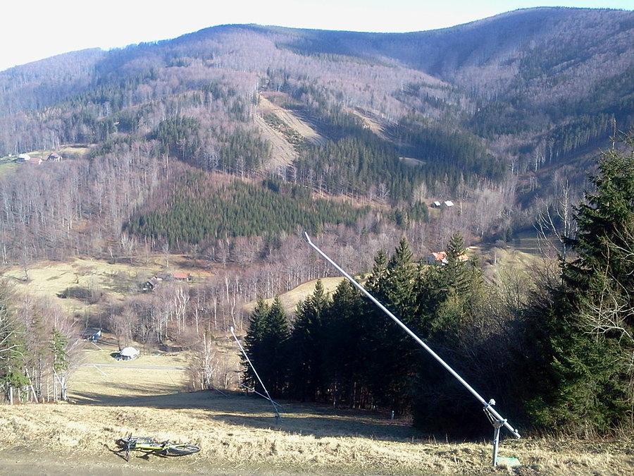 Widoczek