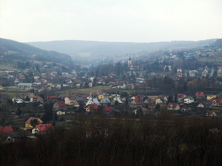 Pleśna