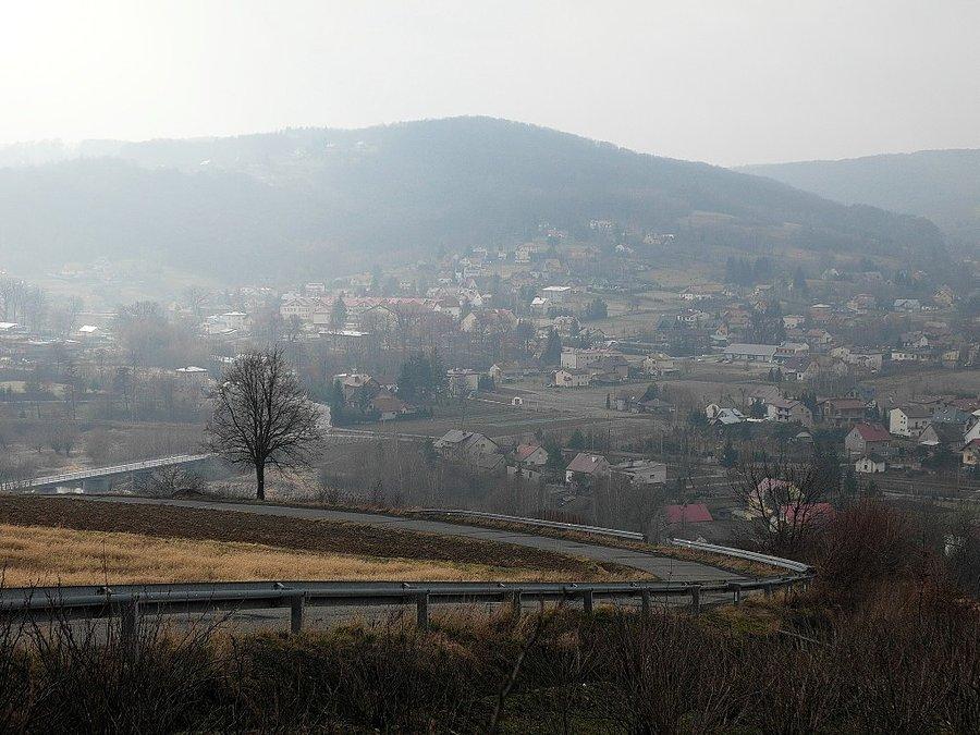 Pleśna