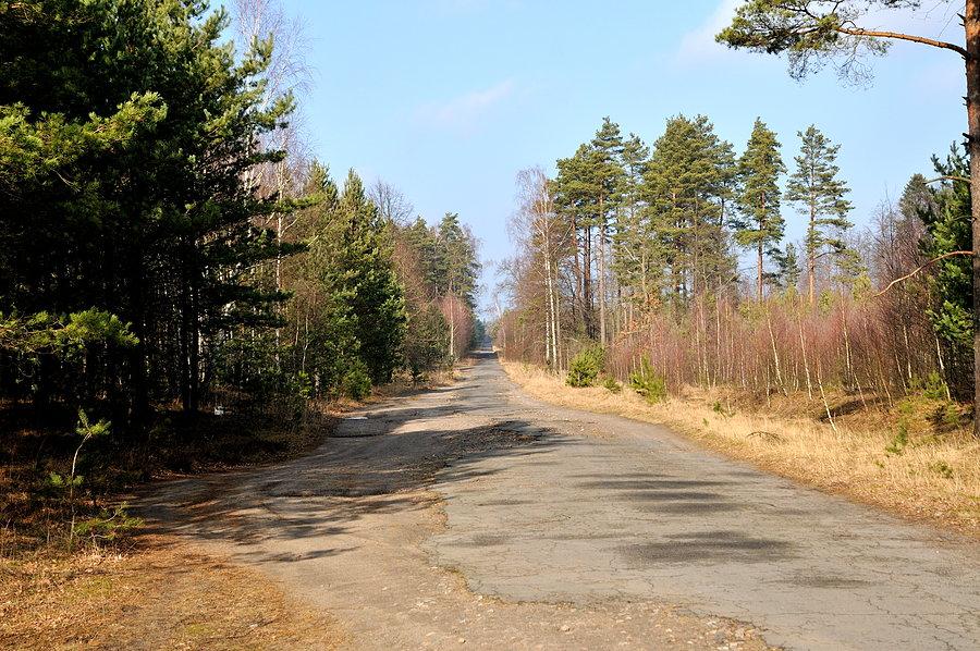 Droga koło Bornego Sulinowa