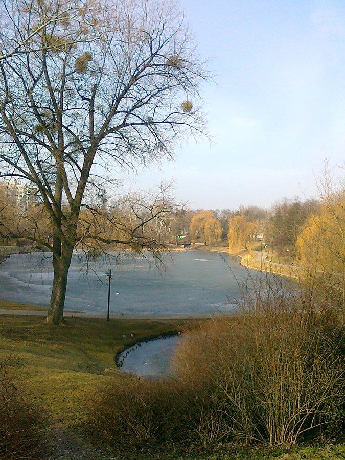 Park Moczydło