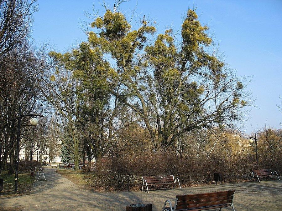 Park Moczydło