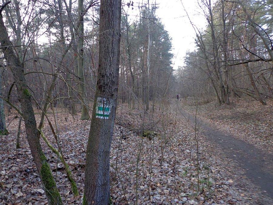 I znalazł się jakiś szlak rowerowy