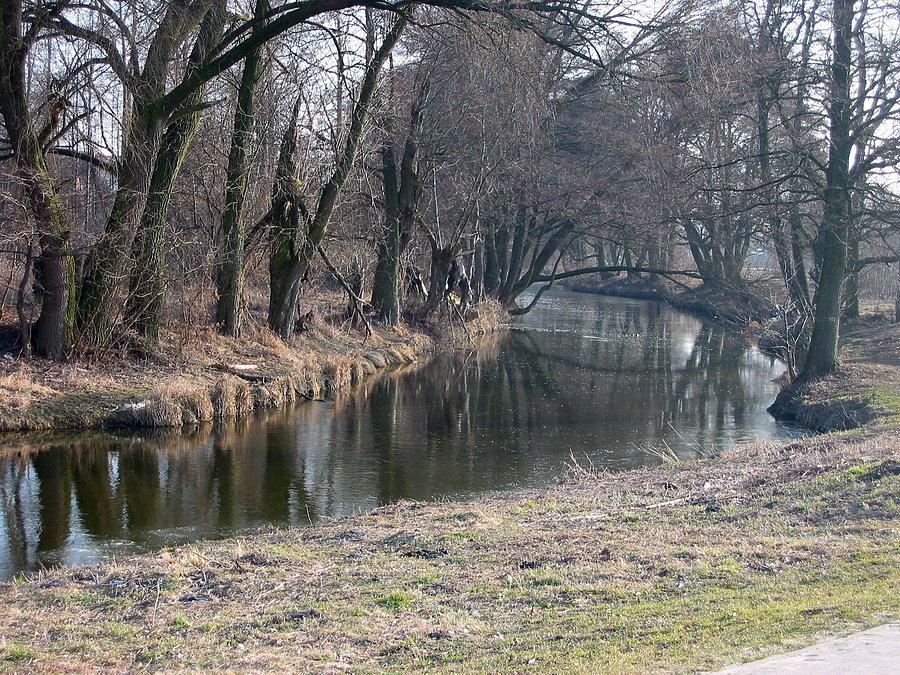 Bystrzyca poniżej Zalewu Zemborzyckiego