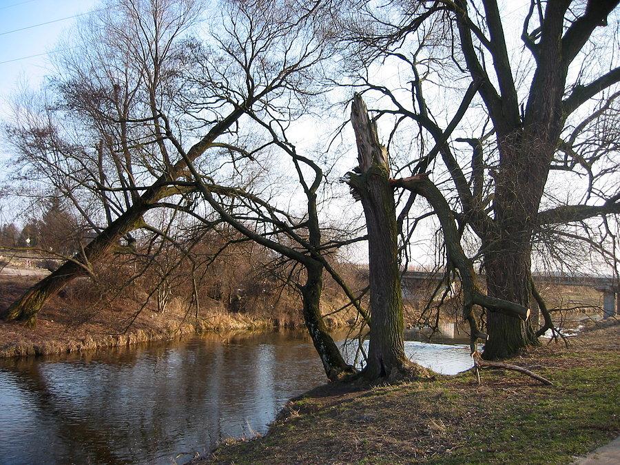 Dzieło Orkana Ksawery