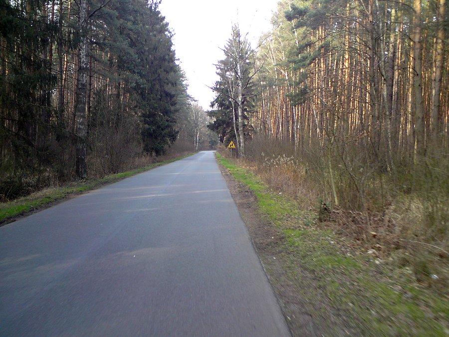 W lesie Popielów - Karłowice