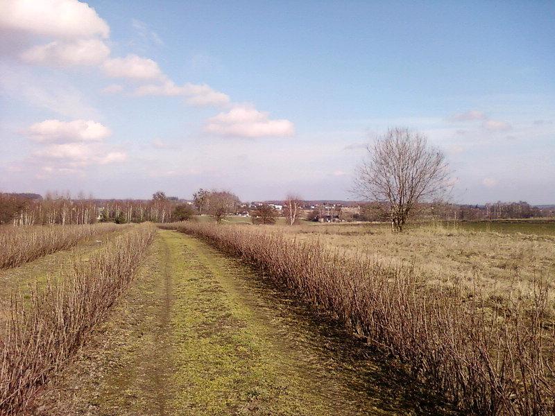 Okolice Brzezin