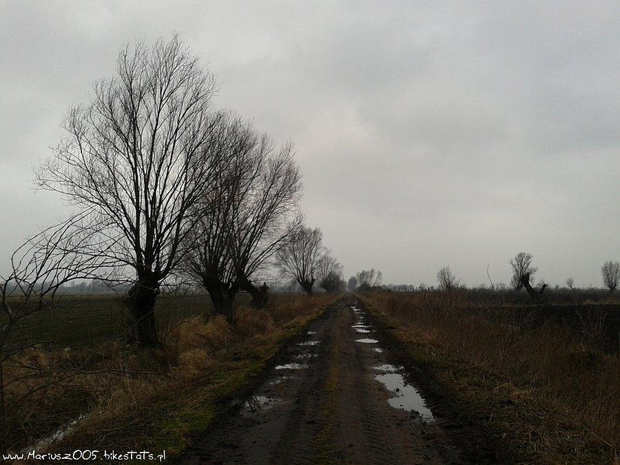 Żuławskie klimaty