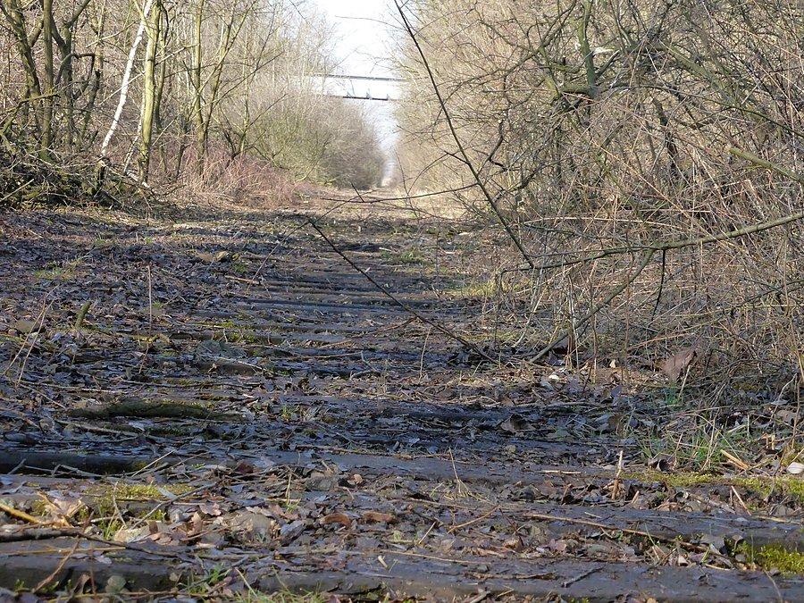 Stare torowisko... mogłaby tu być ścieżka rowerowa