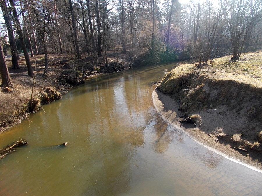 Rzeka Mała Panew