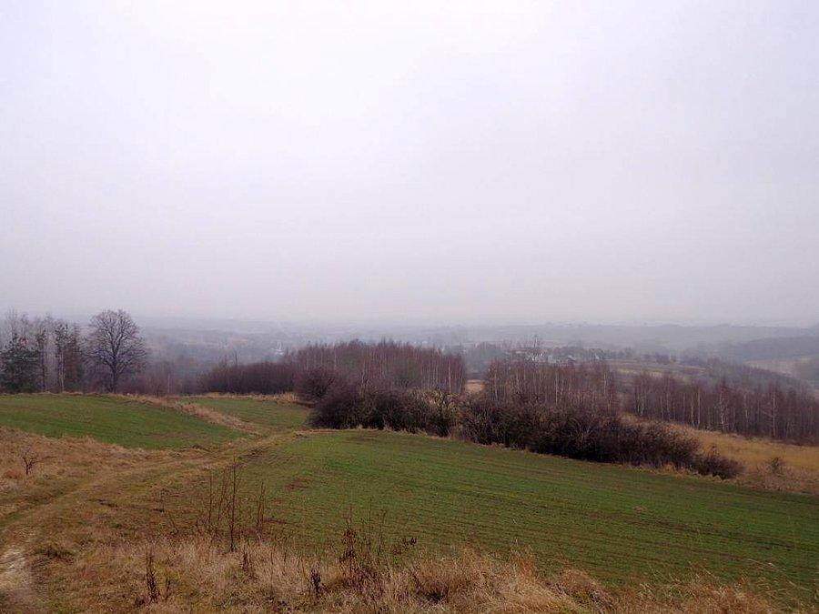 Gdzieś w terenie