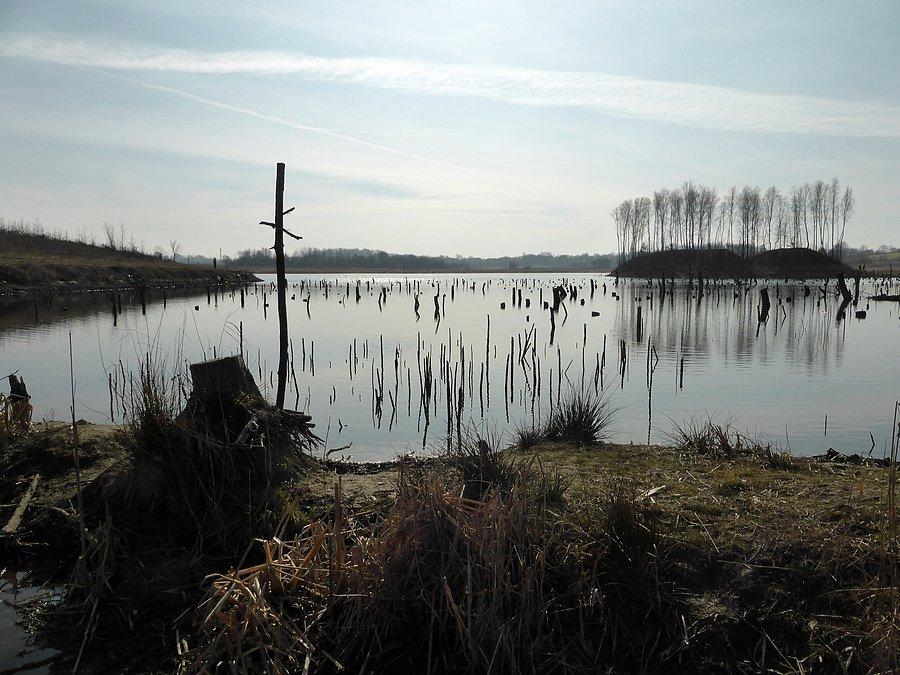 Widoczek