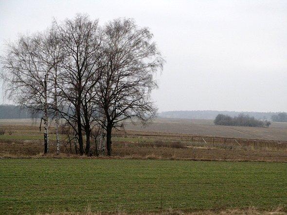 Widok na pola koło Osowy