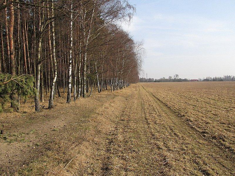 Na skraju lasu było bardzo ciepło