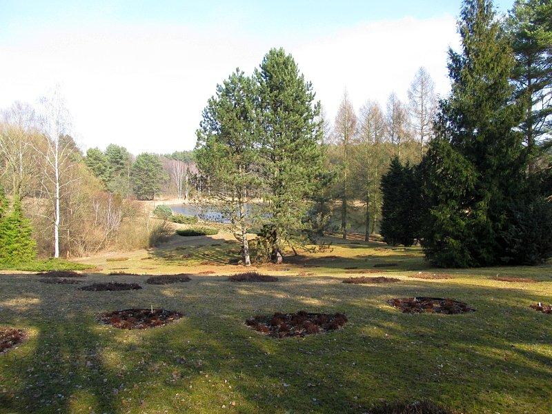 Arboretum Leśne w Zielonce