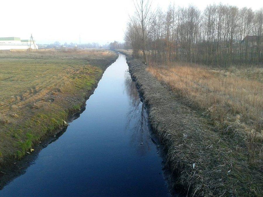 Pichna większa niż zwykle / Tymienice