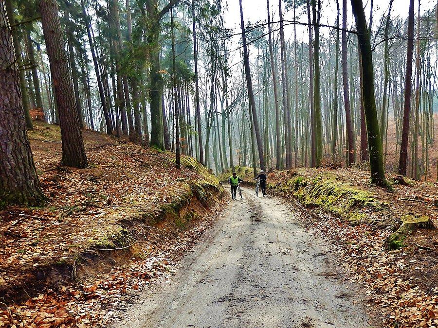 Na trasie wycieczki. Wokół Jeziora Zduńskiego