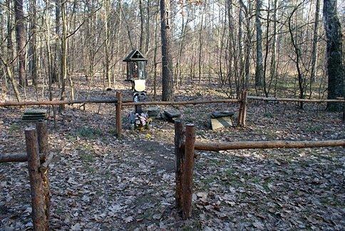 Teren trzech tajemniczych krzyży w lesie w Dąbrowie