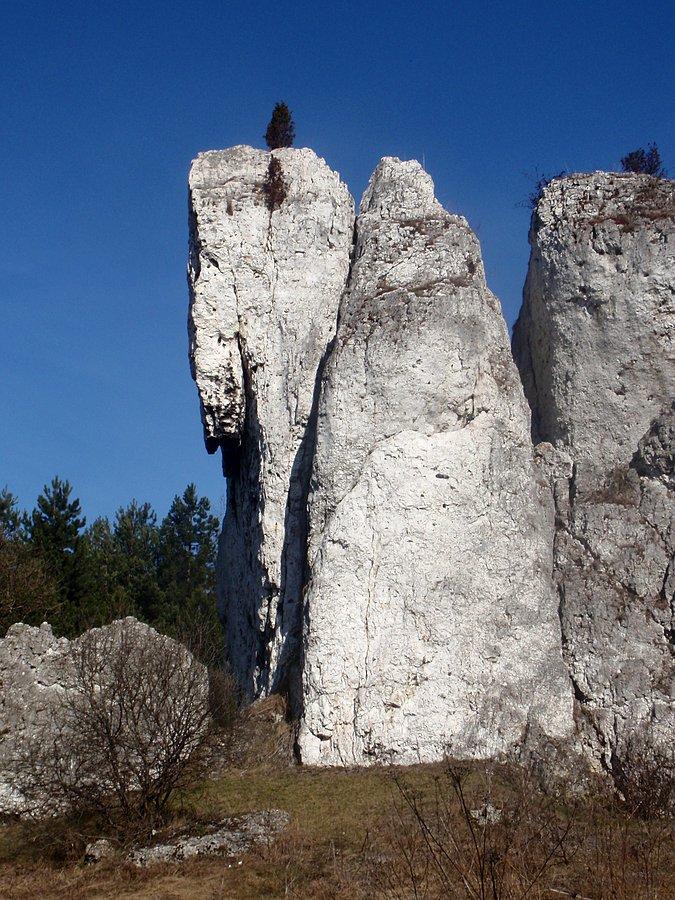 Skałki przewodziszowickie
