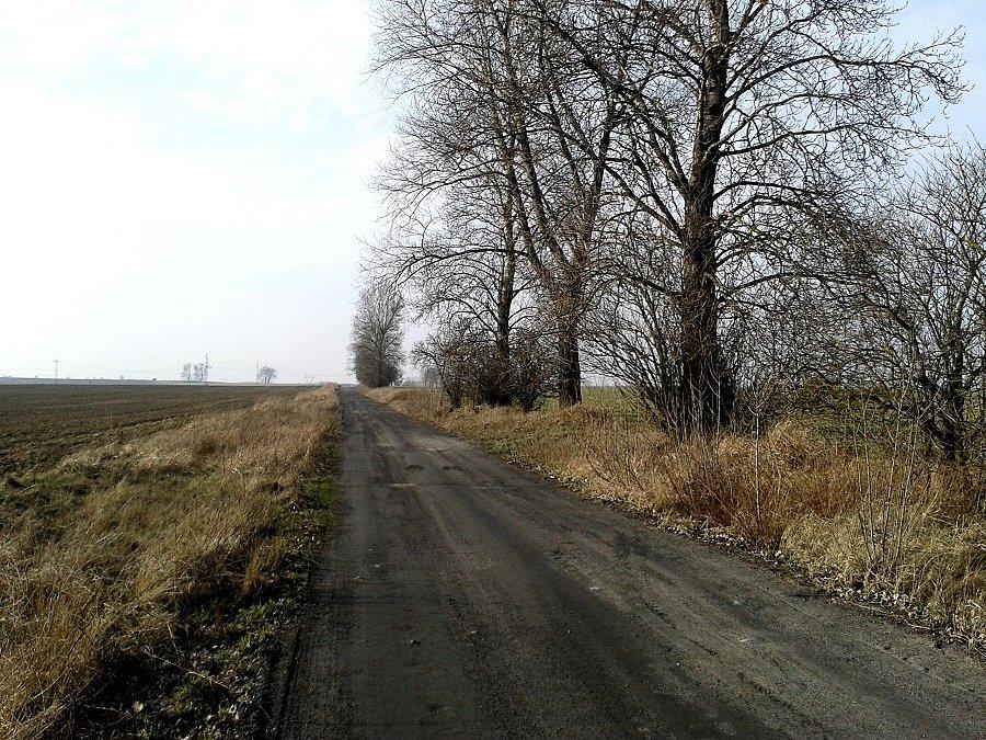 Grunt - Grabowo - Małkocin