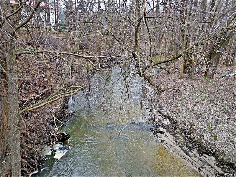 Rzeczki, strumyki, kanałki. Sporo dziś tego było ;]