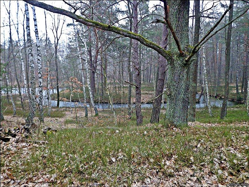 Piękne widoki